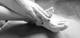 feet